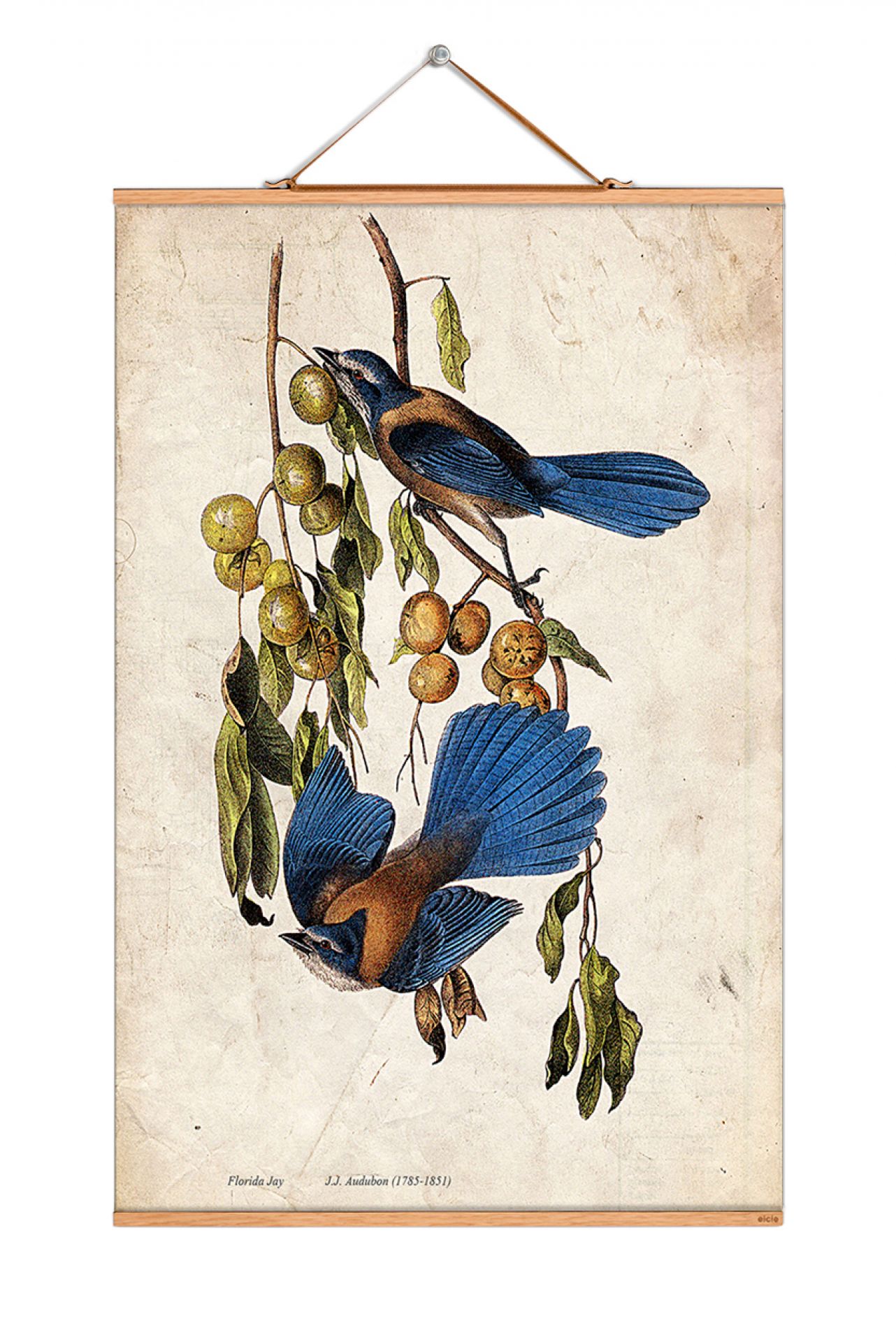 John James Audubon No 67 affiche eicie OFFRE SPECIALE